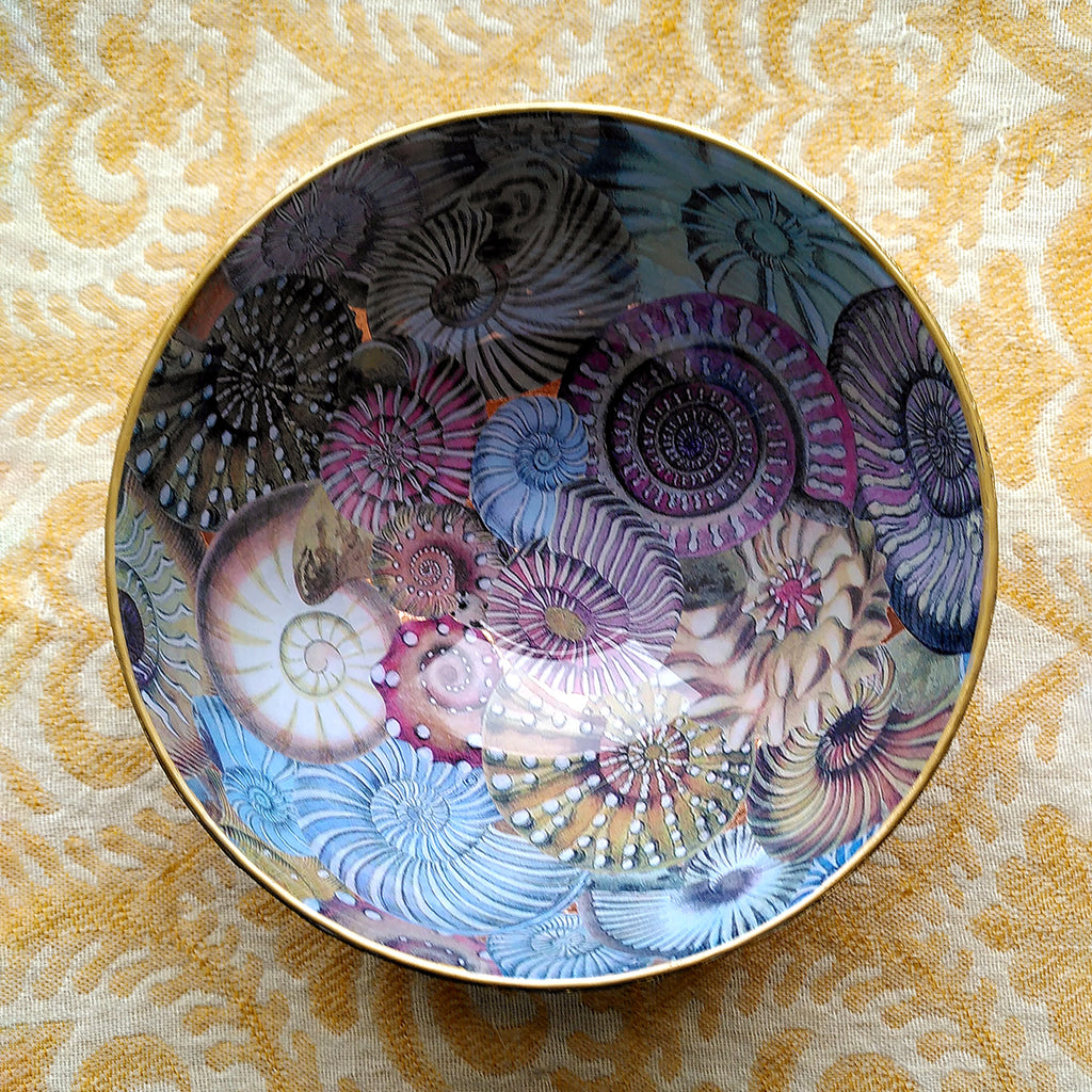 Decoupage Bowl: Shells - Alex Stewart Carter