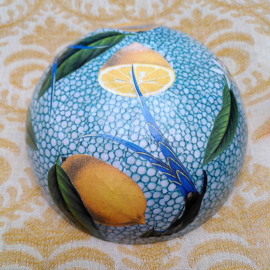 Decoupage Bowl: Lemons and Hummingbirds - Alex Stewart Carter