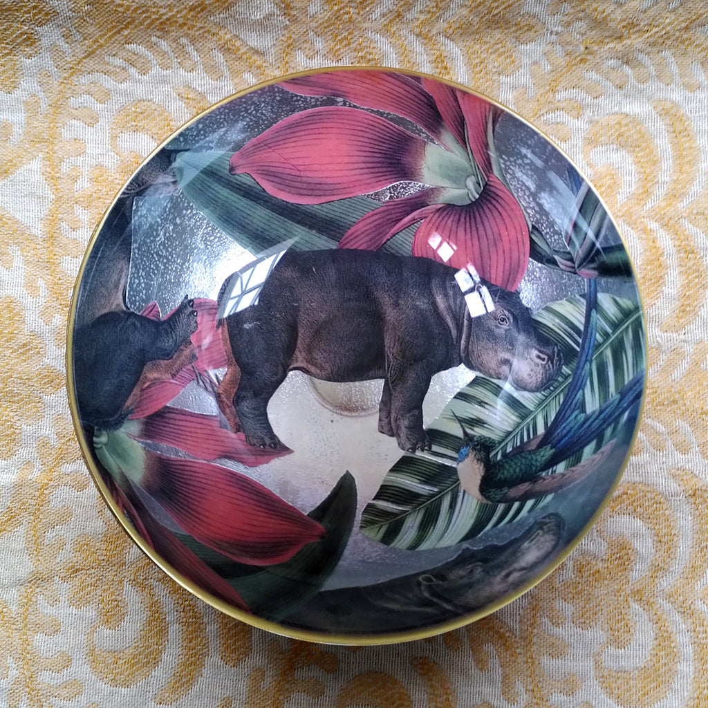 Decoupage Bowl: Hippo - Alex Stewart Carter