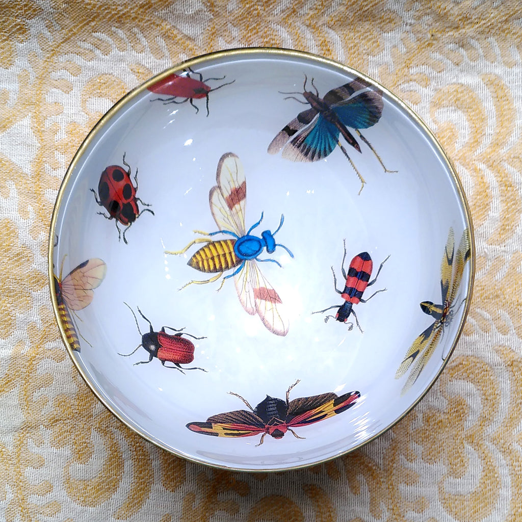 Decoupage Bowl: Insects - Alex Stewart Carter