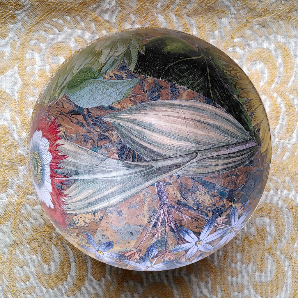 Decoupage Bowl: Sunflower - Alex Stewart Carter