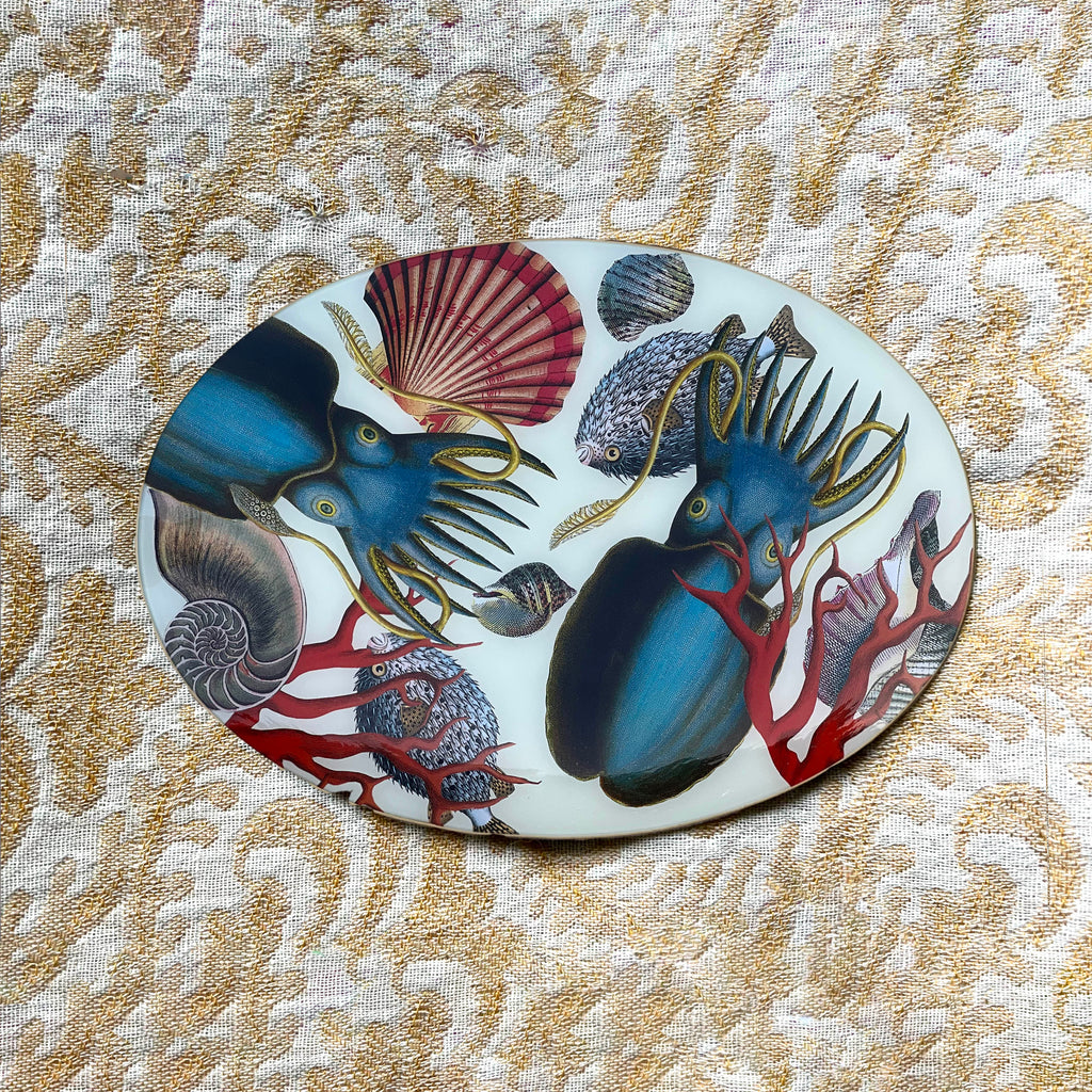 Oval Platter: Sea life - Alex Stewart Carter