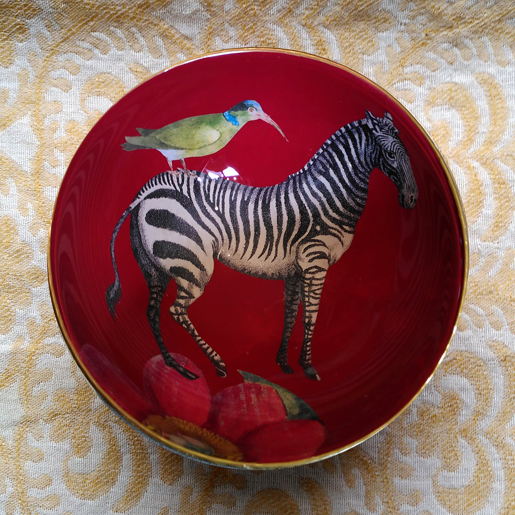 Decoupage Bowl: Zebra - Alex Stewart Carter