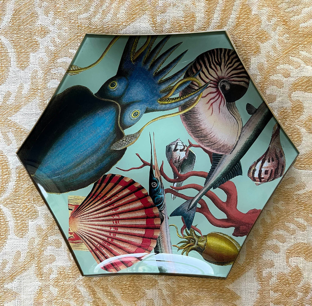 Hexagonal Platter: Sealife - Alex Stewart Carter