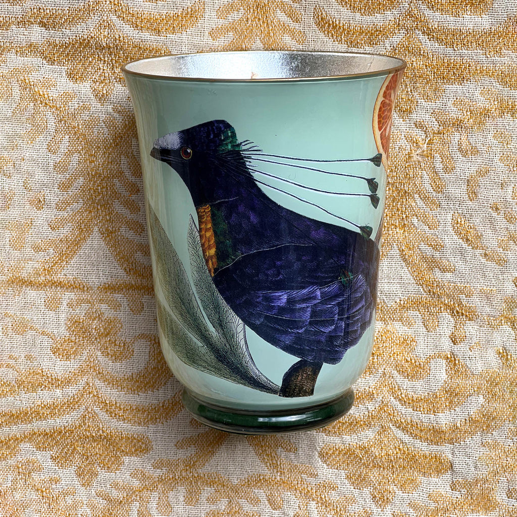 Decoupage Candle: Tropical Bird - Alex Stewart Carter