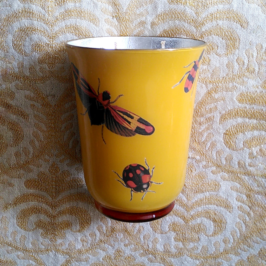 Decoupage Candle: Insects - Alex Stewart Carter