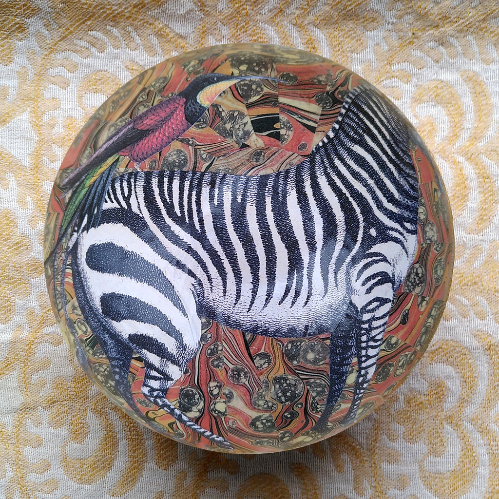 Decoupage Bowl: Zebra - Alex Stewart Carter