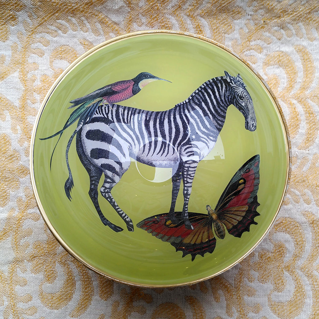 Decoupage Bowl: Zebra - Alex Stewart Carter