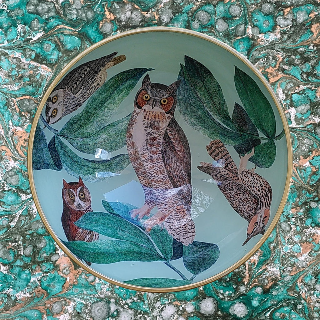 Limited Edition Decoupage Bowl: Owl - Alex Stewart Carter